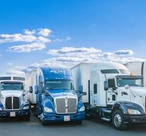 Freight and Trucking Services